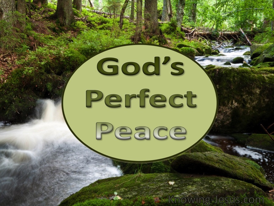 God's Perfect Peace (devotional)08-17 (green)